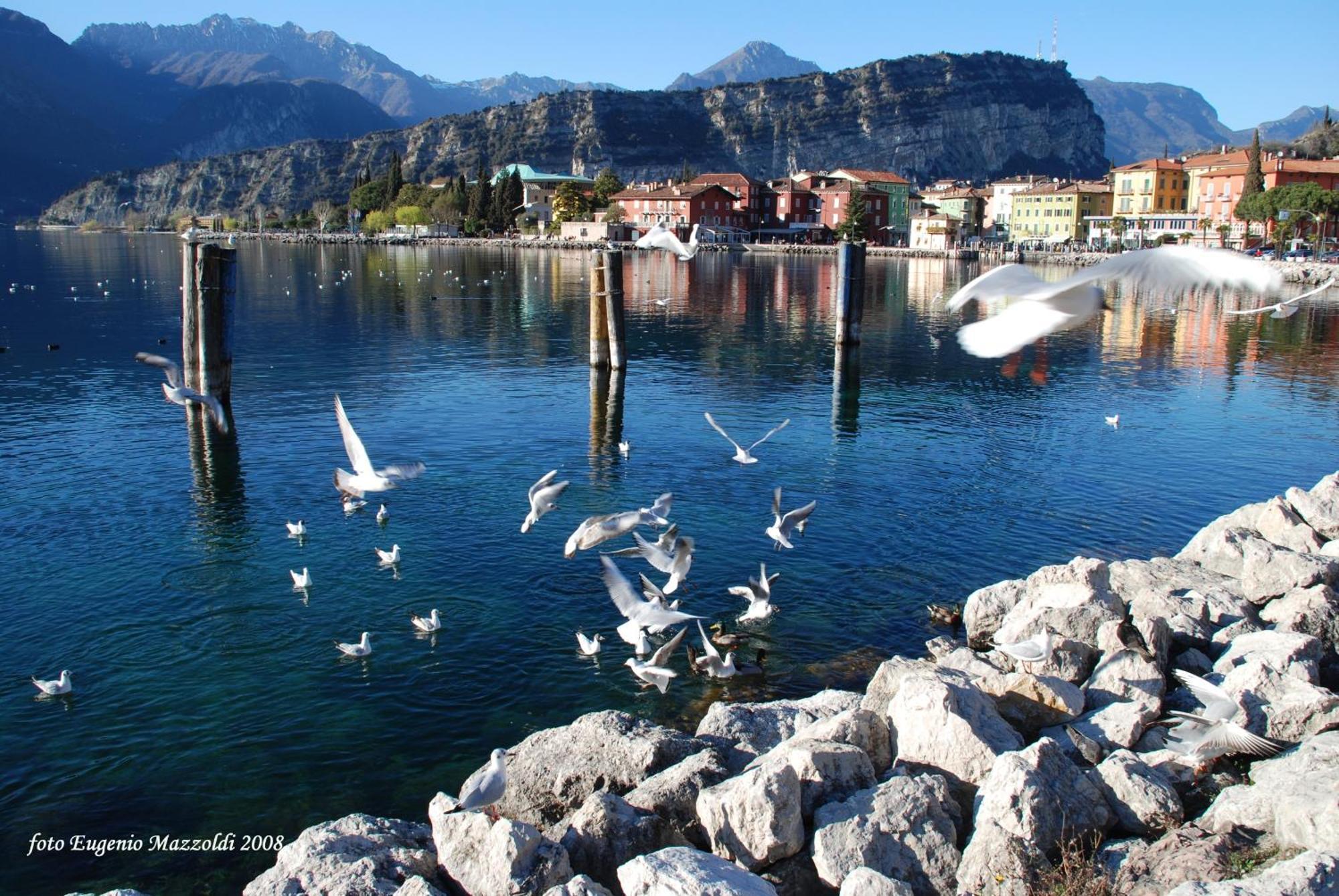 Casa Marco Daire Torbole Sul Garda Dış mekan fotoğraf